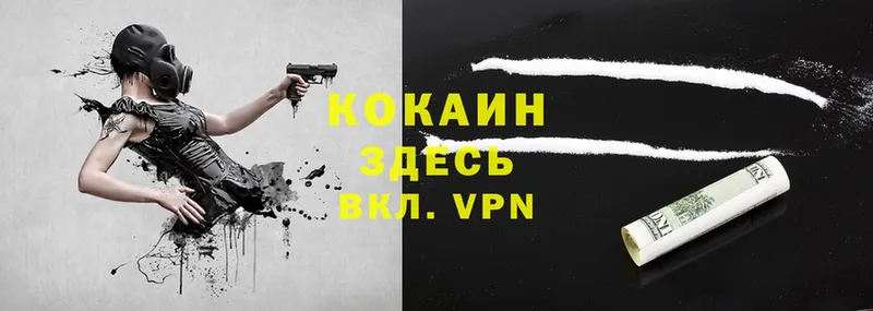 сколько стоит  Кашира  Cocaine VHQ 